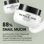 Jumiso Snail Mucin 88 + Peptide Cream 100ml - Image 5