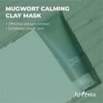 Isntree Mugwort Calming Clay Mask 100ml - Image 6