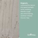 Isntree Mugwort Calming Clay Mask 100ml - Image 5
