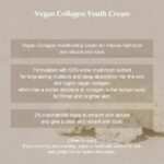 KAINE VEGAN COLLAGEN YOUTH CREAM 50ML - Image 2